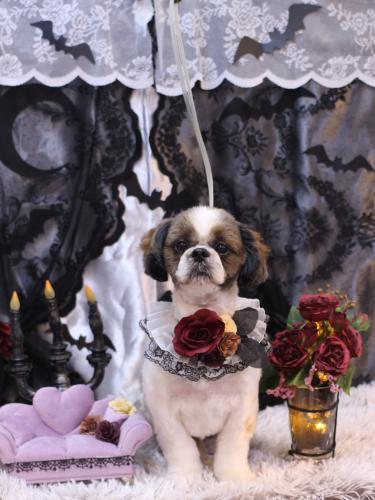 20231009うーたんくん